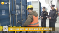 中欧班列通关再提速 西安车站海关监管综合查验场所投用
