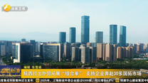 陕西打出外贸拓展“组合拳” 支持企业奔赴30多国拓市场