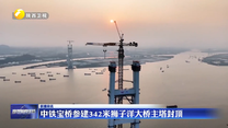 中铁宝桥参建342米狮子洋大桥主塔封顶