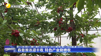 春意渐浓迎丰收 特色产业助增收