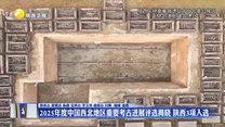 2025年度中国西北地区重要考古进展评选揭晓 陕西3项入选