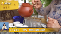 出口量增长117.89% 陕茶出海势头强劲