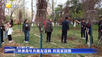 陕澳青年共植友谊林 共筑家国情