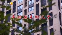 百家碎戏（2026-04-06）