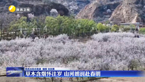 【大美陕西新画卷】草木含烟怀往岁 山河朗润赴春明