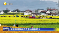 清明假期陕西消费市场稳步增长