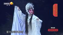 国风秦韵精编版（2026-04-09）