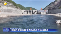引汉济渭黄金峡生态鱼道正式通水过鱼