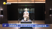 秦陵跪射武士俑来到西安机场T5航站楼珍宝馆