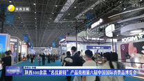 陕西500余款“名优新特”产品亮相第六届中国国际消费品博览会