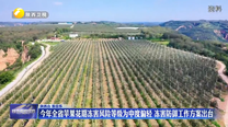 今年全省苹果花期冻害风险等级为中度偏轻 冻害防御工作方案出台
