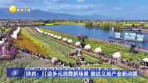 陕西：打造多元消费新场景 激活文旅产业新动能