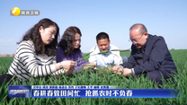 春耕春管田间忙 抢抓农时不负春