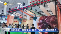 丝路共融·陕亮生活  陕西“好物”圈粉消博会