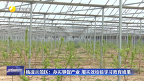 杨凌示范区：办实事促产业 用实效检验学习教育成果