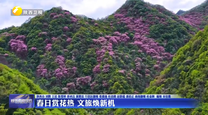 春日赏花热 文旅焕新机