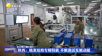 陕西：精准培育专精特新 不断激活发展动能