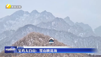 宝鸡太白山：雪山映花海