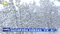 我省多地降雪降温 农技服务紧急“护花”保产