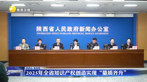 2025年全省知识产权创造实现“量质齐升”