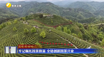 牢记嘱托因茶致富 全链创新因茶兴业