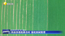 我省各地抢抓农时 强化田间管理