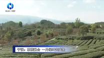 农村大市场（2026-04-26）