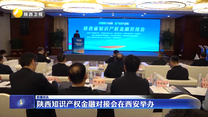 陕西知识产权金融对接会在西安举办