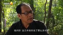 百家碎戏 (2026-04-27)