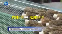 农村大市场（2026-04-27）