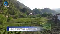 农村大市场 (2026-04-28)