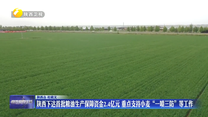 陕西下达首批粮油生产保障资金2.4亿元 重点支持小麦“一喷三防”等工作