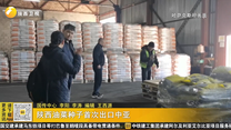 陕西油菜种子首次出口中亚