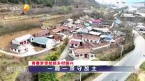 今日点击 (2026-04-29)