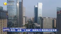 陕西：金融“工具箱”协同发力 精准助企促发展