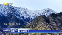 五月三秦 绿意醉人