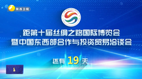 丝博会倒计时19天