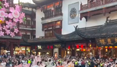 “五一”假期观察