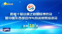 丝博会倒计时18天
