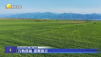 万物昂扬 迎夏而立