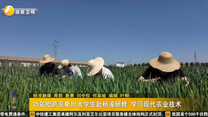 35名哈萨克斯坦大学生赴杨凌研修 学习现代农业技术