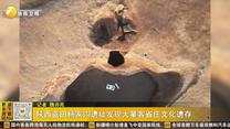 陕西蓝田杨家沟遗址发现大量客省庄文化遗存