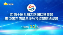 丝博会倒计时14天