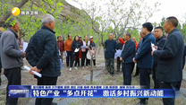 特色产业“多点开花” 激活乡村振兴新动能