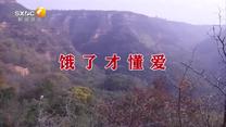 百家碎戏（2026-05-08）
