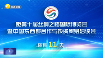 丝博会倒计时11天