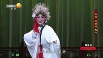 国风秦韵精编版（2026-05-11）