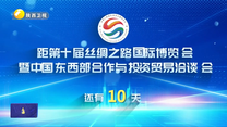 丝博会倒计时10天