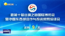 丝博会倒计时9天