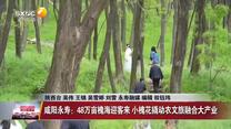 晚间新闻站（2026-05-12）